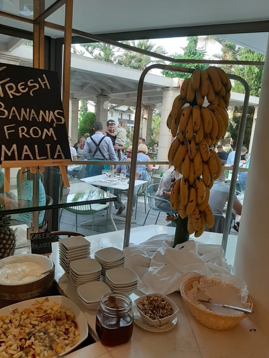 Gastro Phãea Cretan Malia