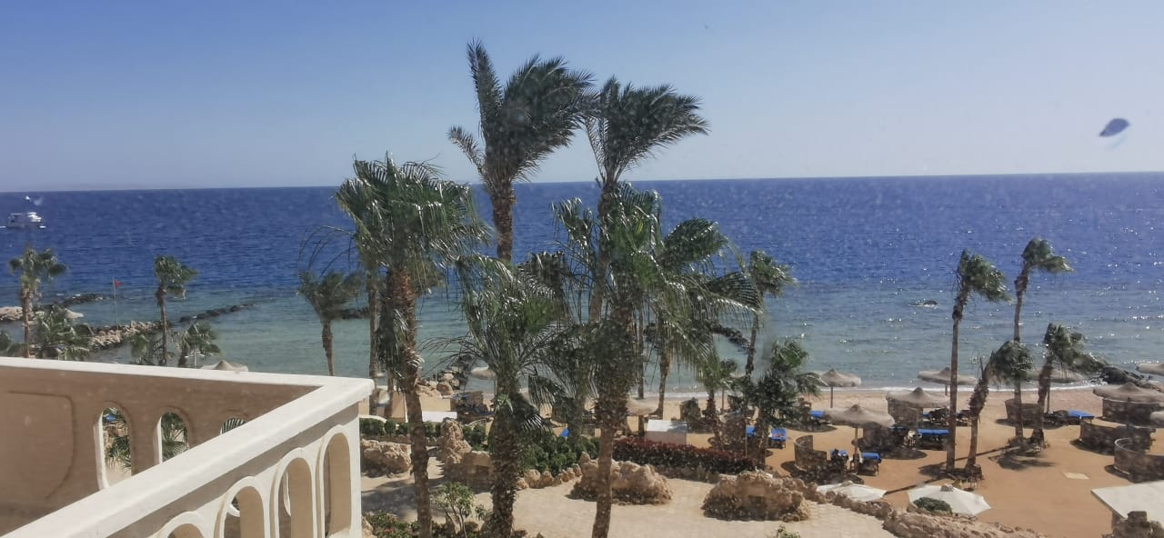 Ausblick Pickalbatros Citadel Resort