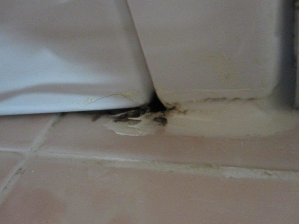 Jede Ecke in der Dusche sah so aus Holiday Park Resort