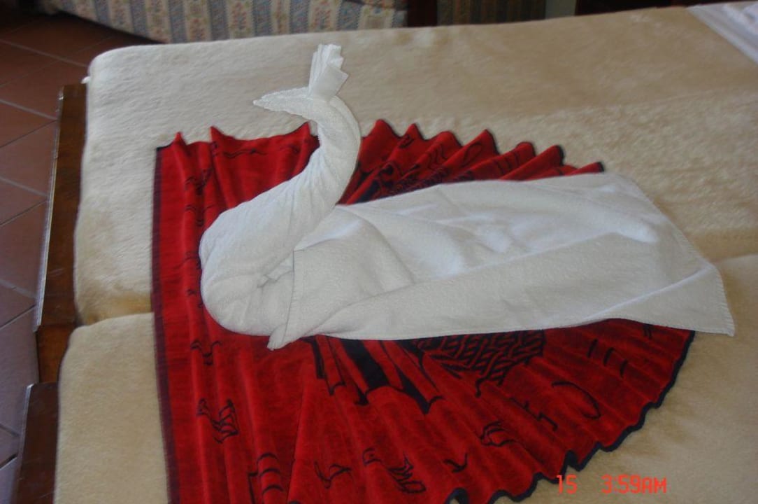 Zimmerdeko Eagles Paradise Abu Soma