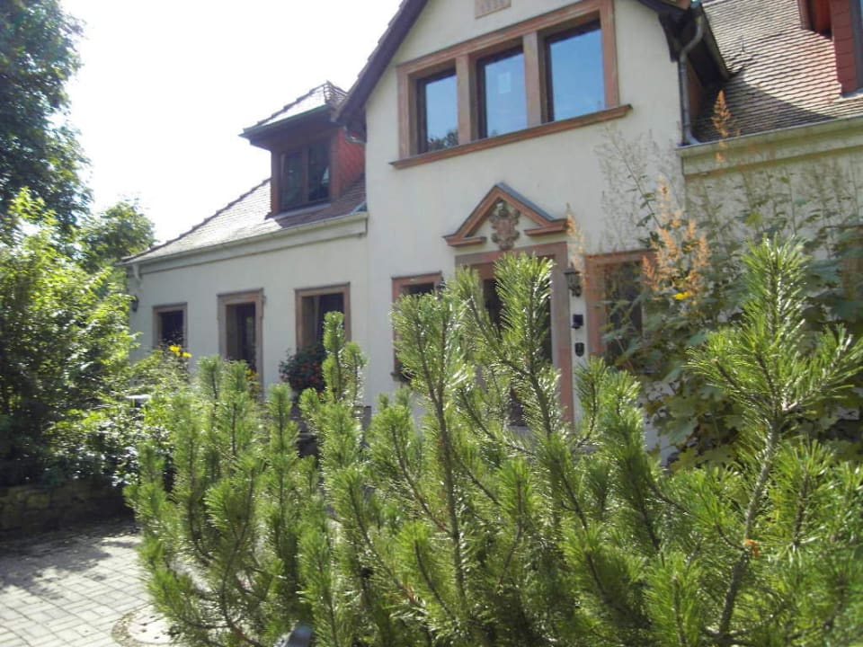 Vorderansicht Jägerhütte Kohren-Salis Pension an der Burg