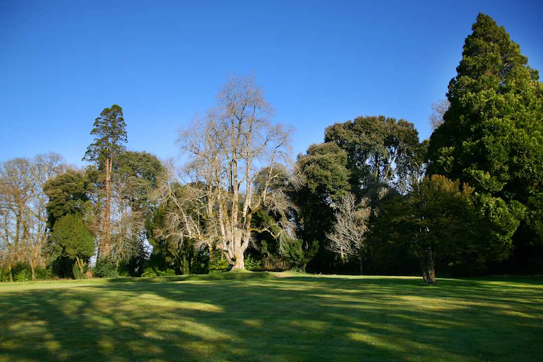 Gartenanlage Hotel Lough Rynn Castle