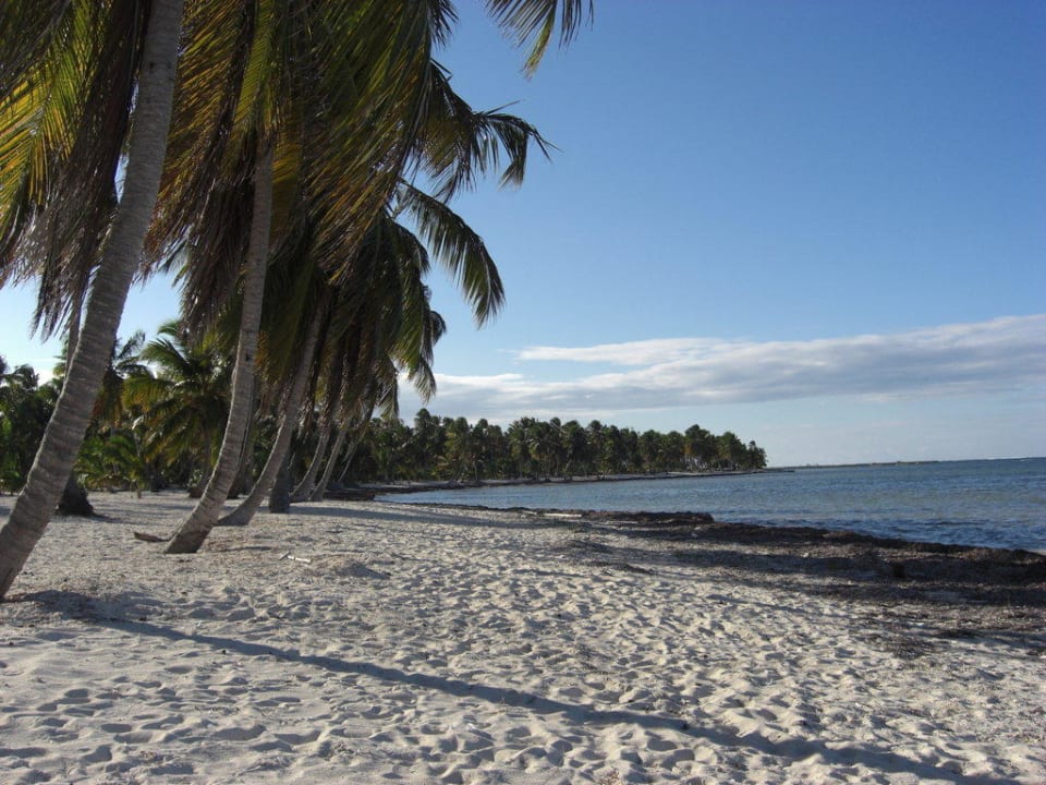 Spaziergang am Strand Catalonia Royal Bavaro - Adults only
