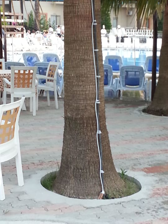 Stromkabel FUN&SUN Smart Hane Sun Hotel