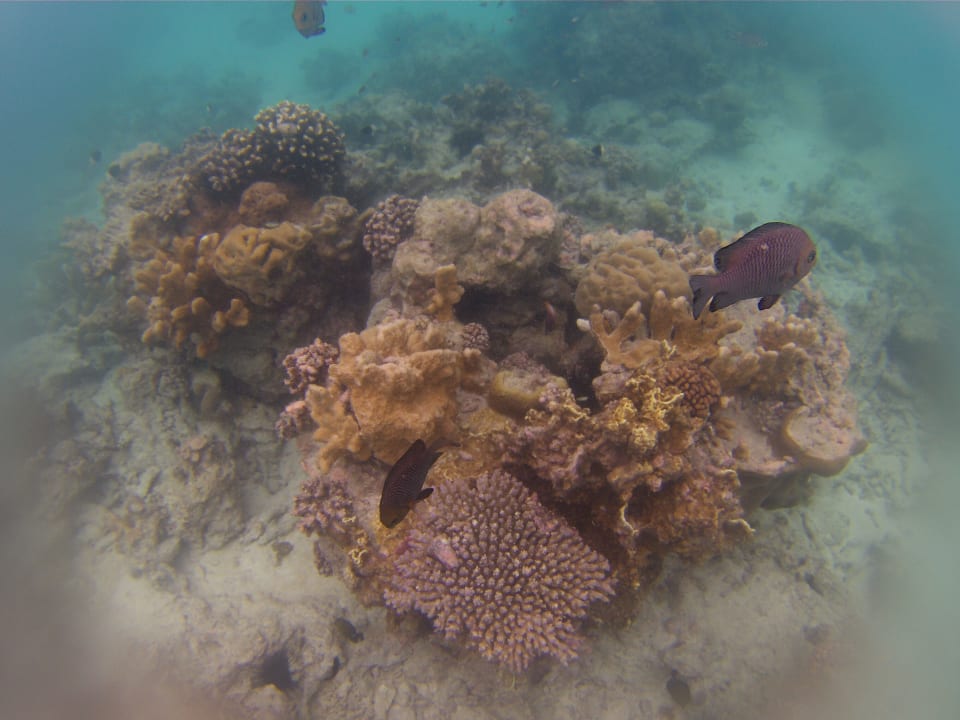 Sport & Freizeit TUI Blue Bahari Zanzibar