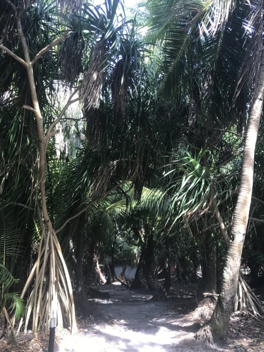 Gartenanlage Filitheyo Island Resort