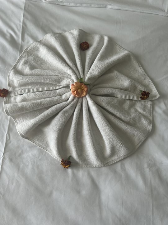 Zimmer Aqua Fantasy Aquapark Hotel & Spa