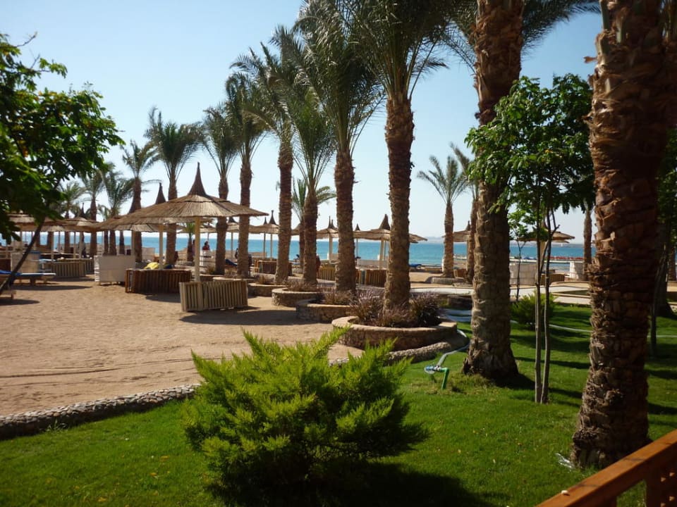Gang von den Bungalows Richtung Hotel Beach Albatros Resort