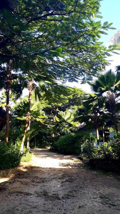 Gartenanlage Spice Island Hotel & Resort