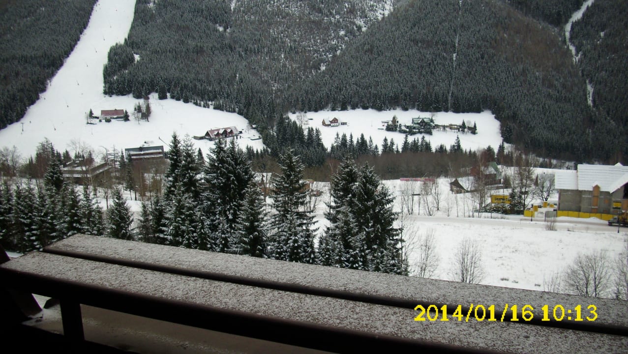 Blick aus dem Restaurant Orea Resort Horal