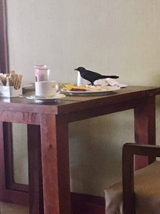 Gastro Grand Palladium Select Bávaro Resort & Spa