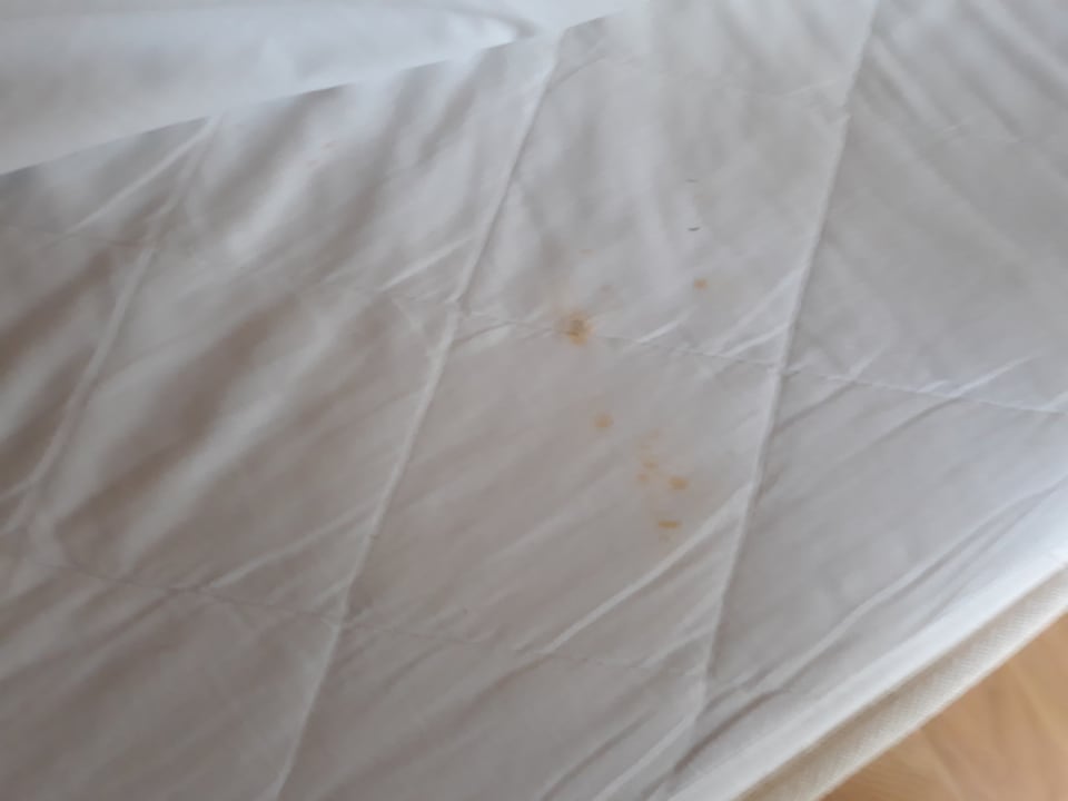 Zimmer Starlight Resort Hotel