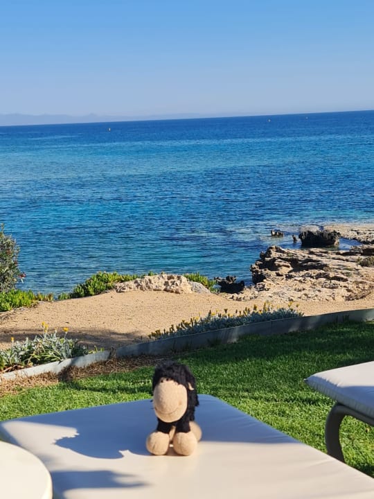 Strand Crystal Springs Beach Hotel