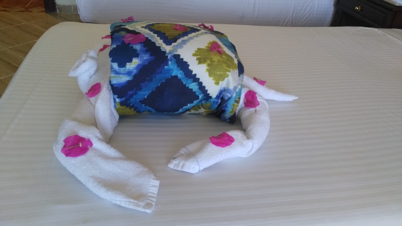 Zimmer Malikia Resort Abu Dabbab