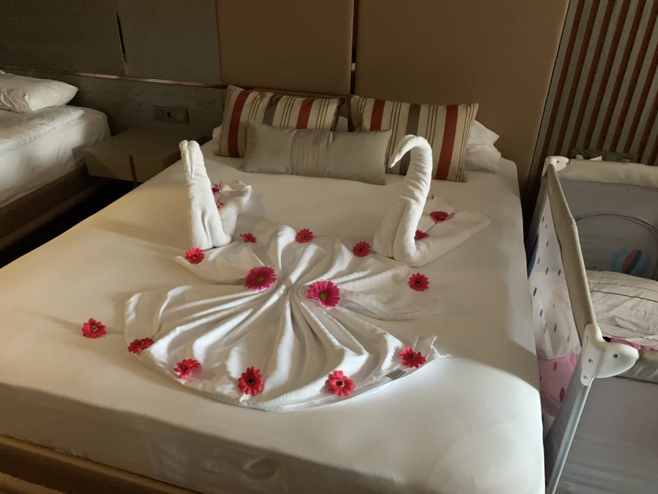 Zimmer Arycanda Kirman Premium