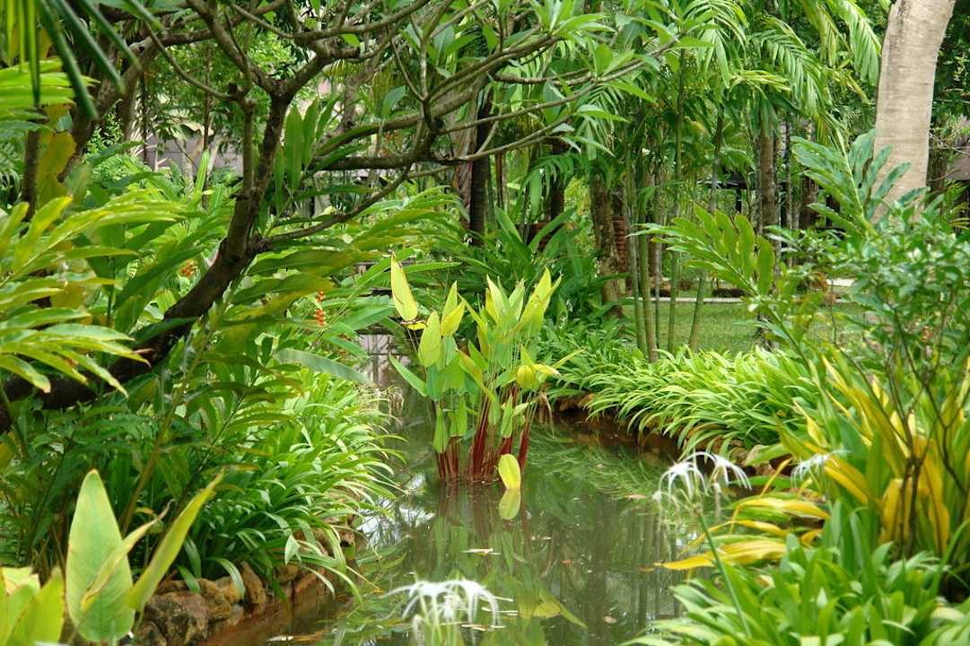 Teil vom Garten Annika Koh Chang