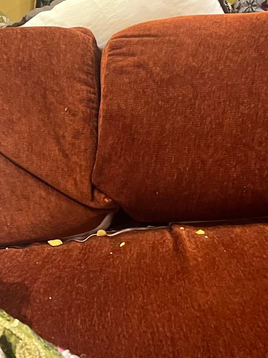 Lobby Ghazala Gardens