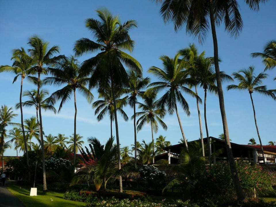 Schönes Panorama Hotel Grand Palladium Palace Resort, Spa & Casino