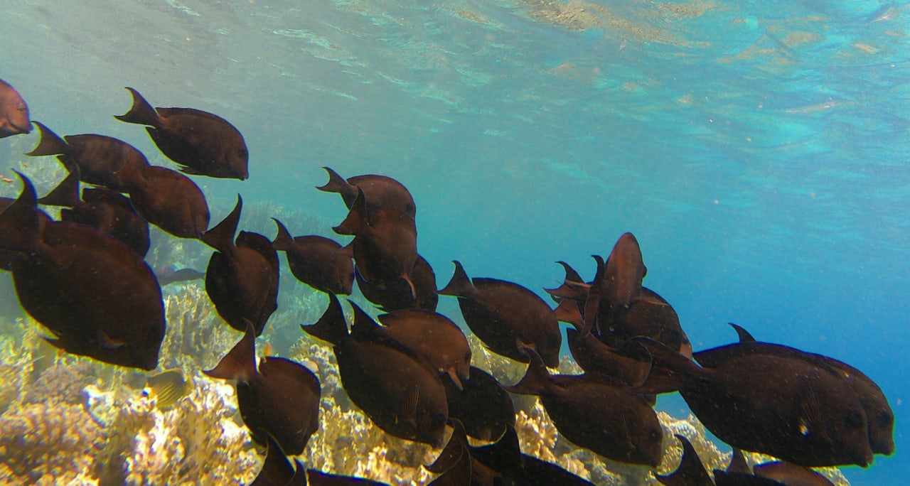 Sport & Freizeit Makadi Spa - Adults only