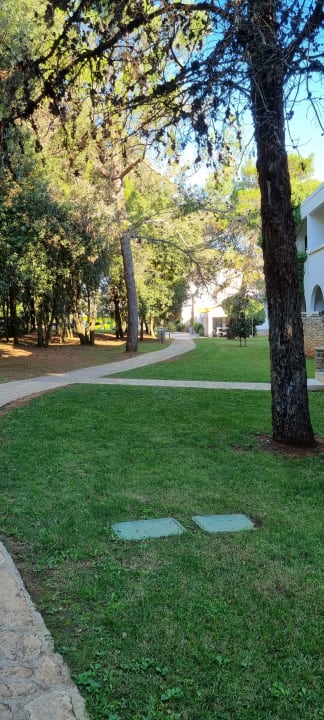 Gartenanlage Valamar Tamaris Hotel