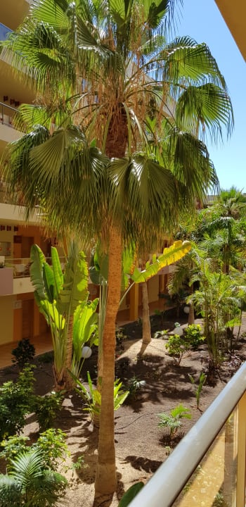 Gartenanlage Elba Carlota Beach & Golf Resort