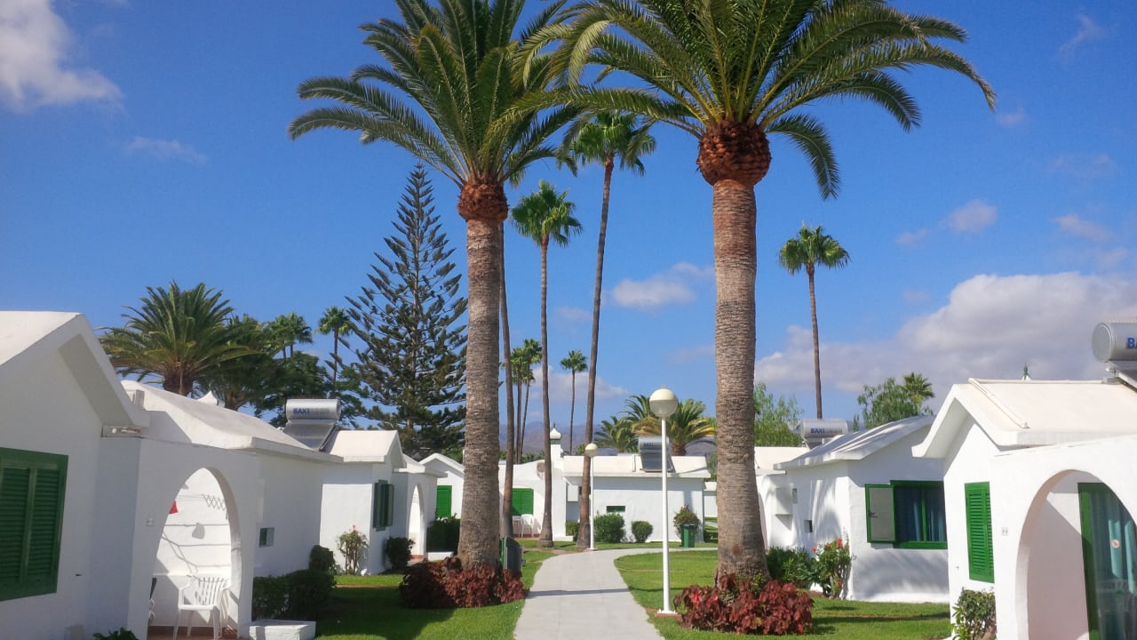 Gartenanlage Canary Garden Club