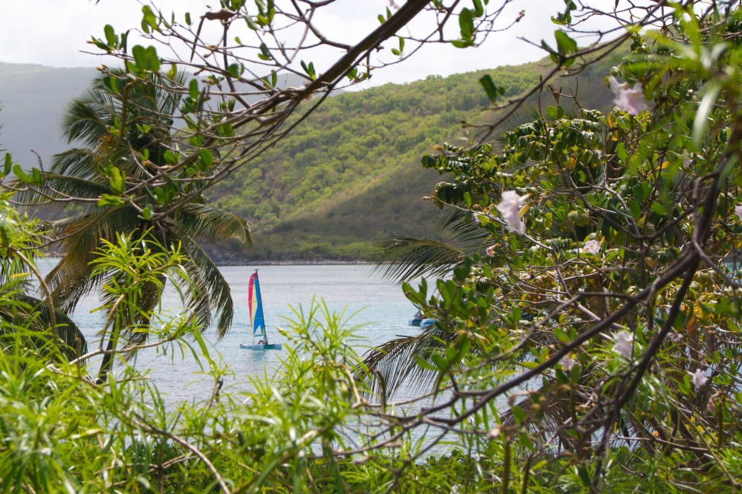 Ausblick von Hotelzimmer Hotel Little Dix Bay