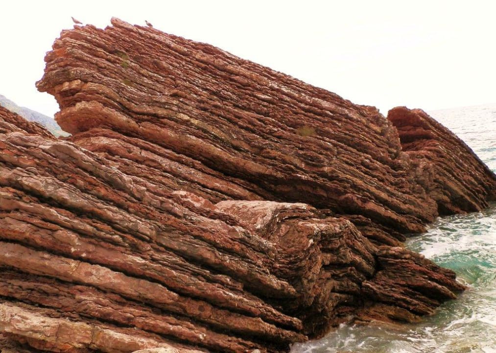 Morze Iberostar Waves Bellevue