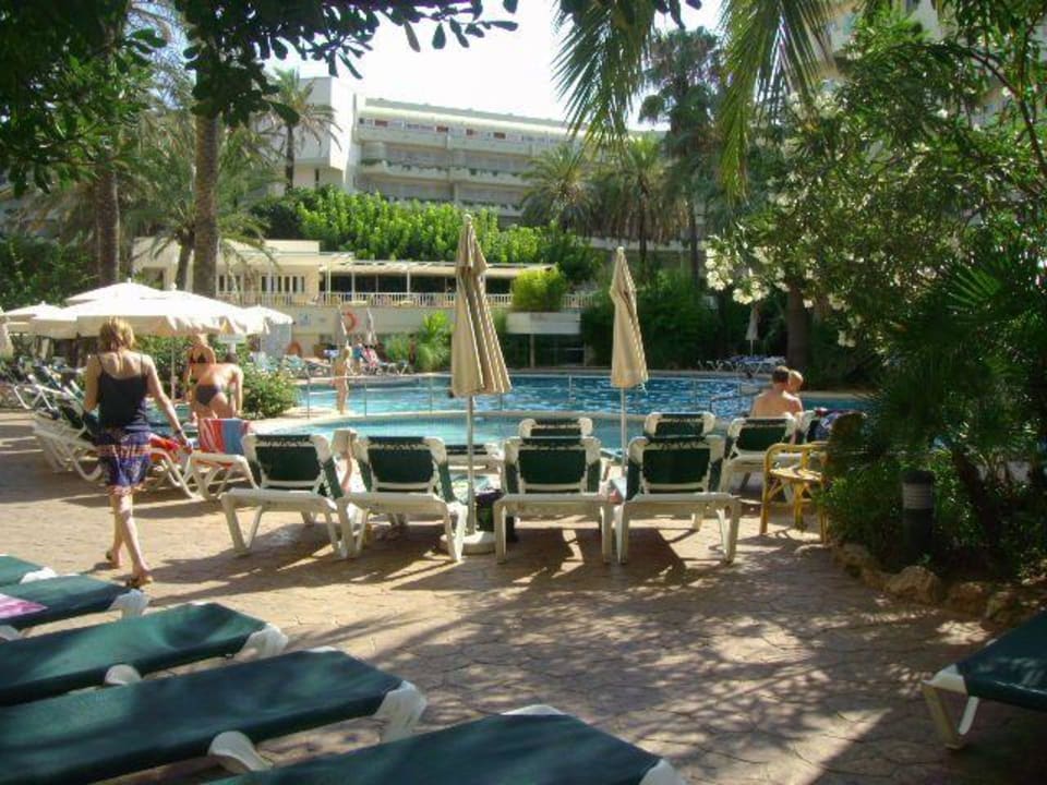 Pool & Poolbar Protur Palmeras Playa Aparthotel