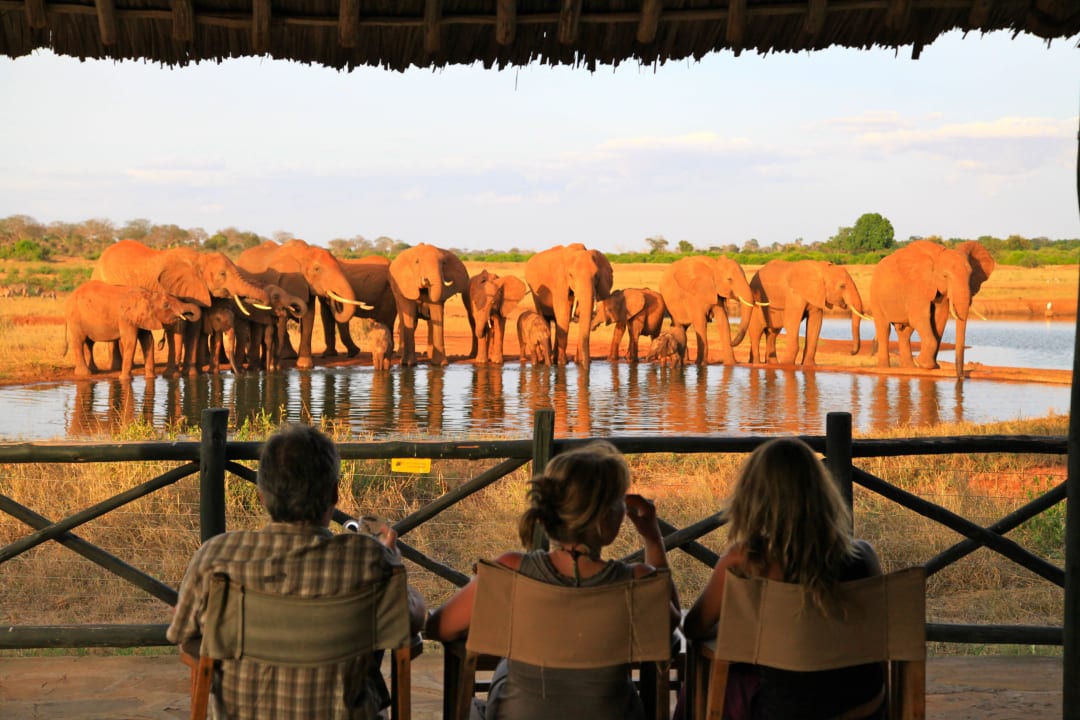 Bar with a view Voi Wildlife Lodge