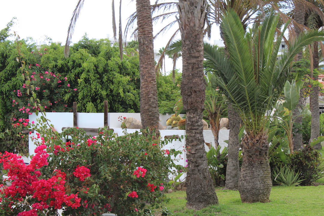 Wunderschöne Gartenanlage HL Miraflor Suites Hotel