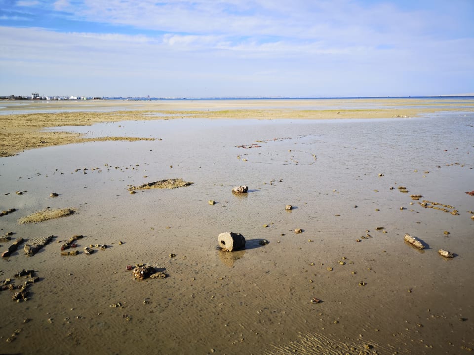 Strand Hotel Titanic Palace