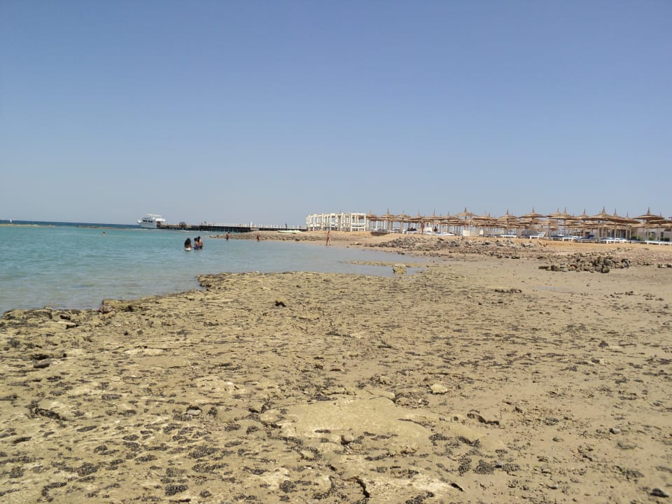 Leider nicht sehr einladender Strand  Pickalbatros Jungle Aqua Park Resort - Neverland Hurghada