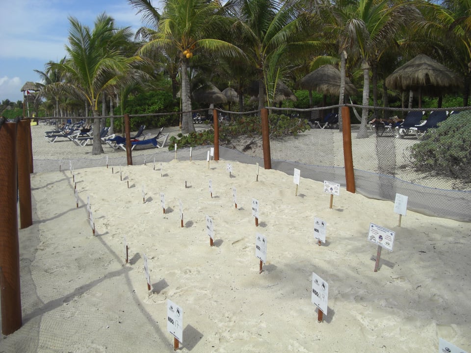 Brutstation TRS Yucatan Hotel - Adults only