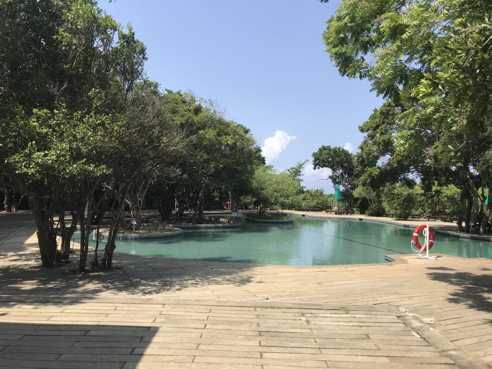 Pool Cinnamon Wild Yala