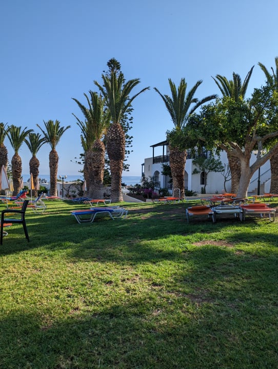 Pool TUI SUNEO Chrissi Amoudia