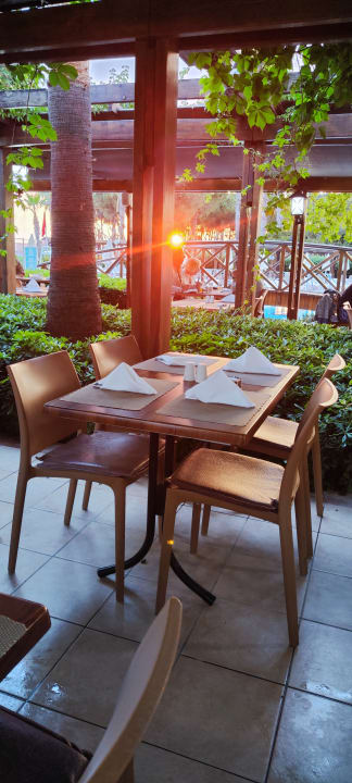 Gastro Trendy Palm Beach (Adults Only, 16+)