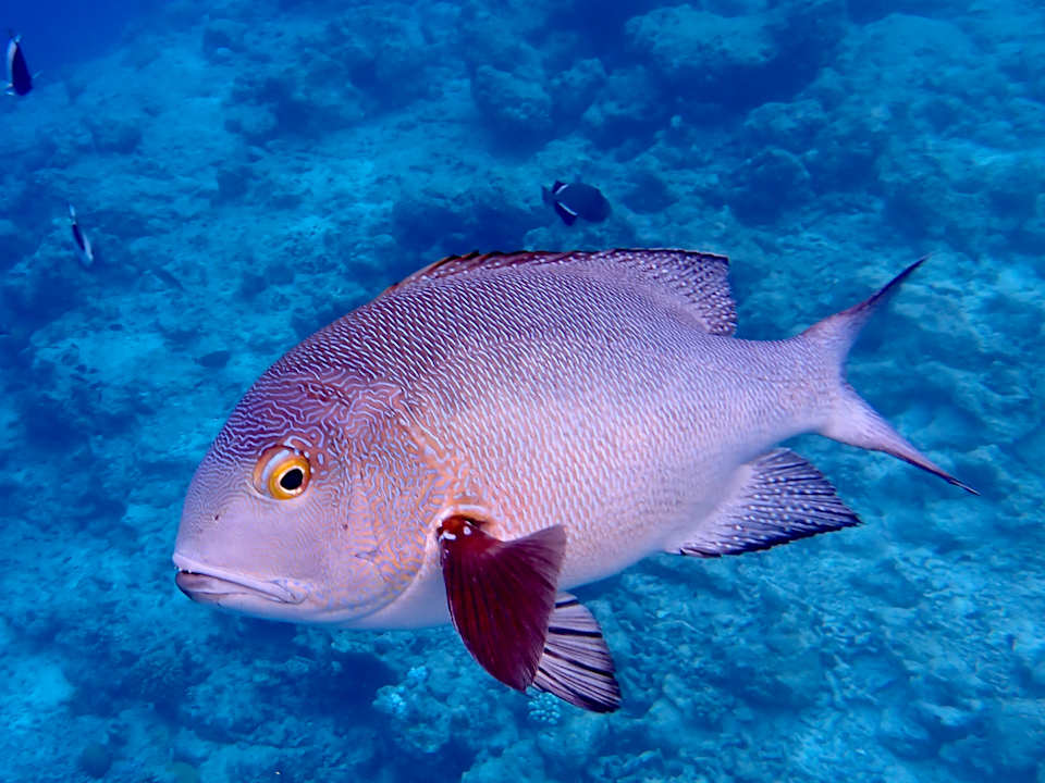 Strand Dreamland The Unique Sea & Lake Resort / Spa