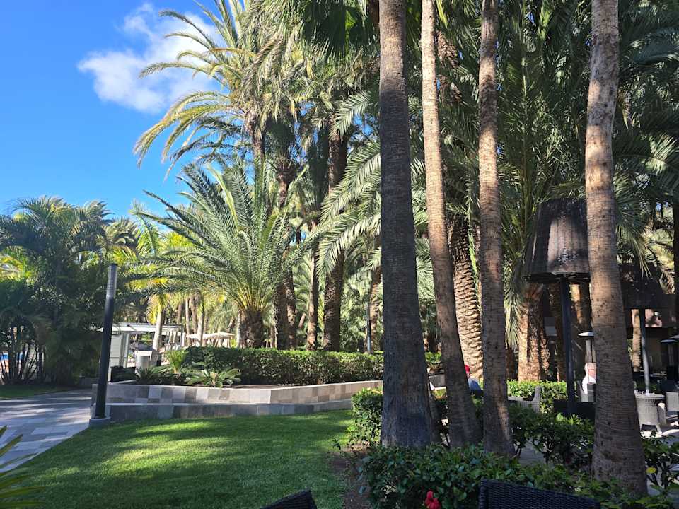 Gartenanlage Hotel Riu Palace Oasis