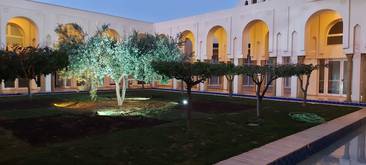 Gartenanlage Iberostar Waves Averroes