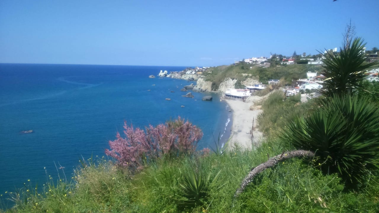 Hotel Royal Palm Terme Hotel Terme Royal Palm