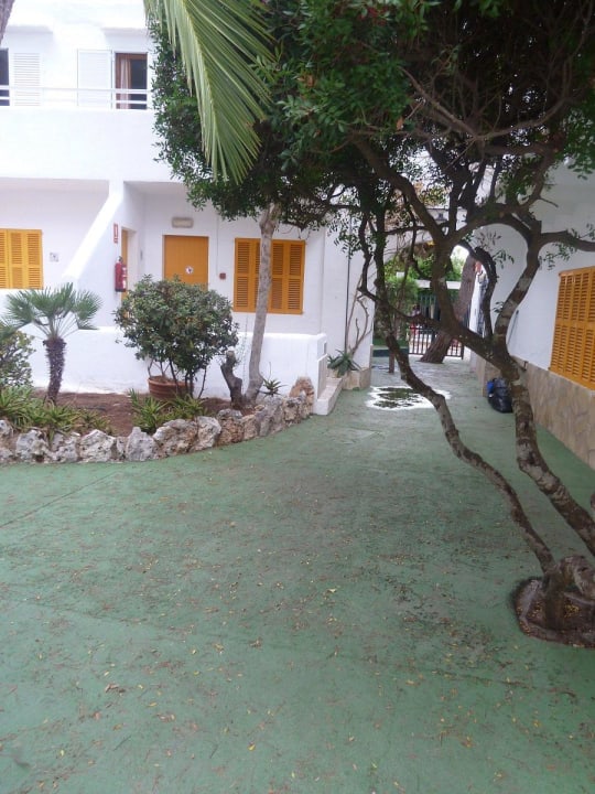 Überall Piniennadeln. Gavimar Ariel Chico Club & Resort