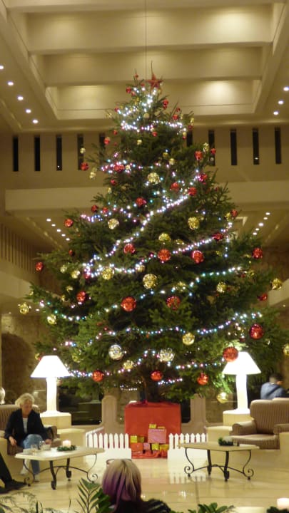 Kurz vor Weihnachten Pickalbatros Citadel Resort