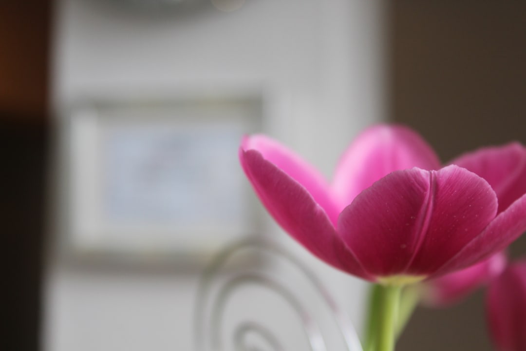 Lobby Stadthotel Geis