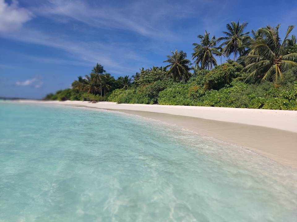 Strand ROBINSON NOONU