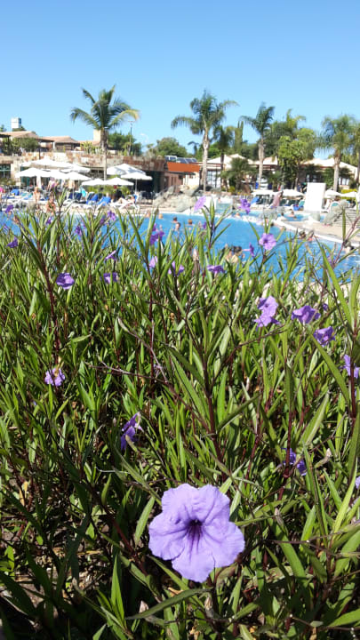 Pool allsun Hotel Esplendido