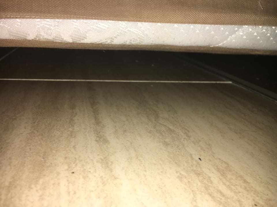 Zimmer Crystal Sunset Pearl Collection