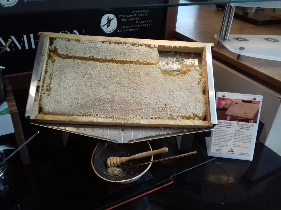 Gastro AMERON Köln Hotel Regent