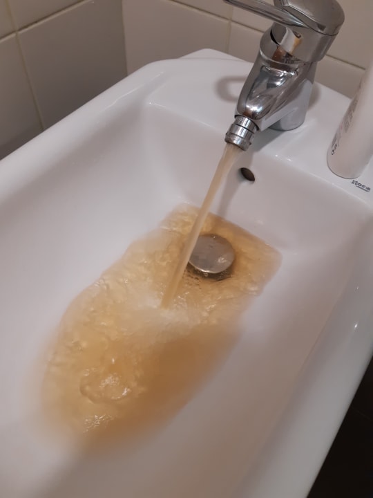 Zimmer Hotel Madeira Panoramico