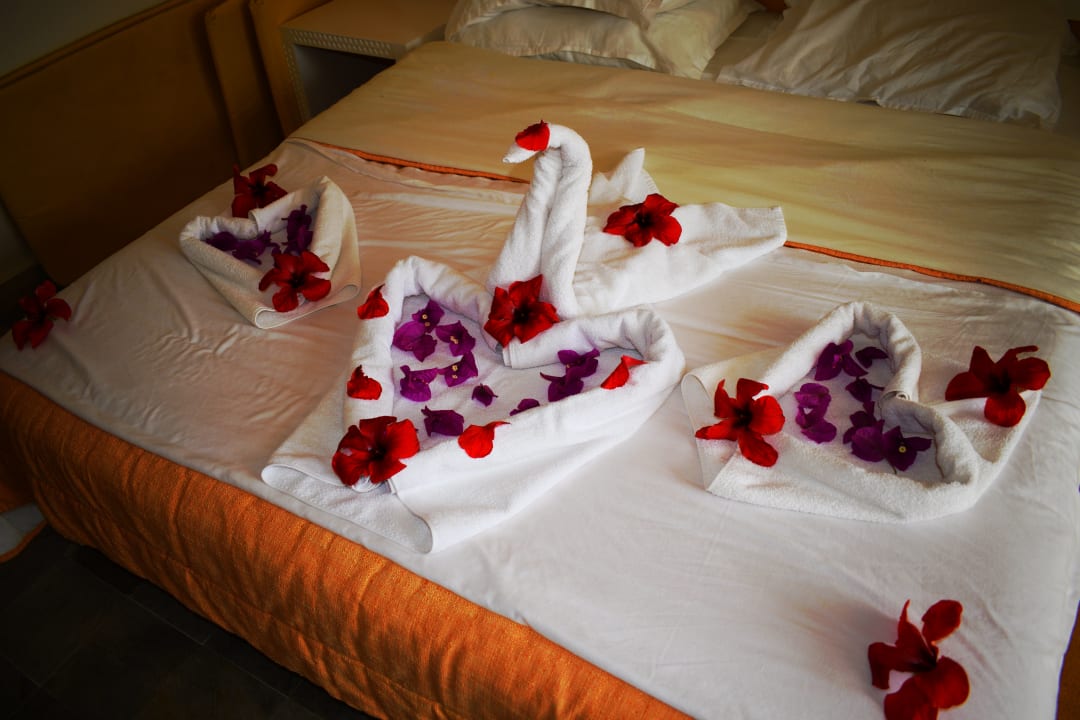 Zimmer Djerba Sun Beach Hotel & Spa